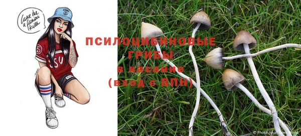 мет Нея