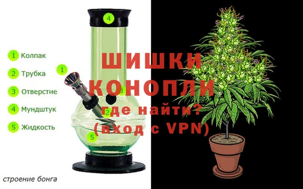 СК Нефтекумск