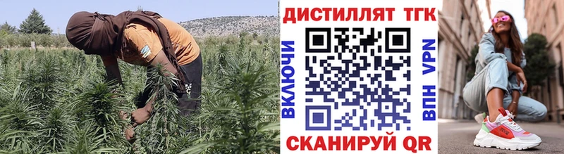 Дистиллят ТГК Wax  Шилка 
