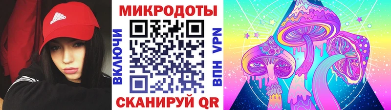 Псилоцибиновые грибы прущие грибы  hydra вход  Шилка  купить закладку 