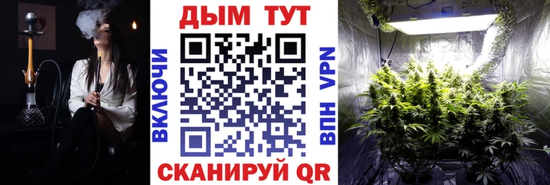 Конопля гибрид Шилка